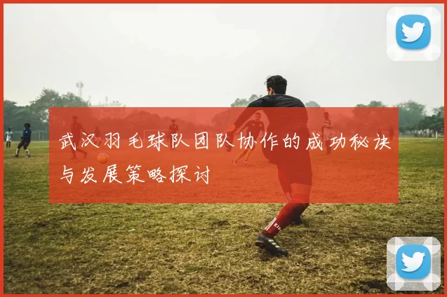 武汉羽毛球队团队协作的成功秘诀与发展策略探讨