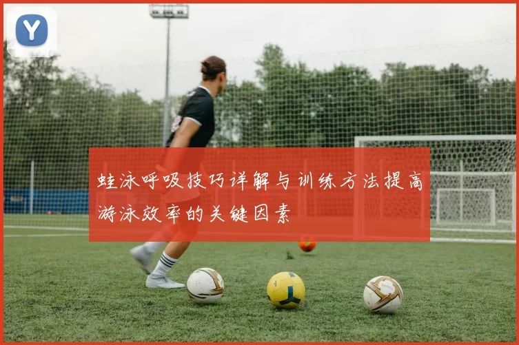 蛙泳呼吸技巧详解与训练方法提高游泳效率的关键因素