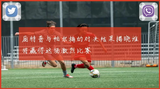 庞特普与帕尔梅的对决结果揭晓谁将赢得这场激烈比赛