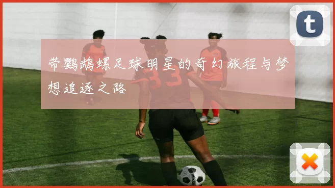 带鹦鹉螺足球明星的奇幻旅程与梦想追逐之路