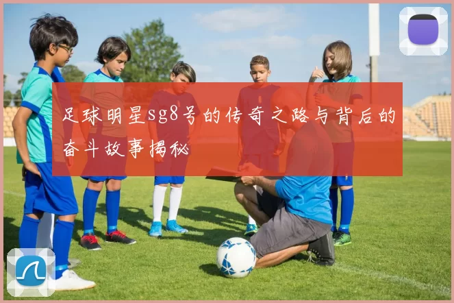 足球明星sg8号的传奇之路与背后的奋斗故事揭秘