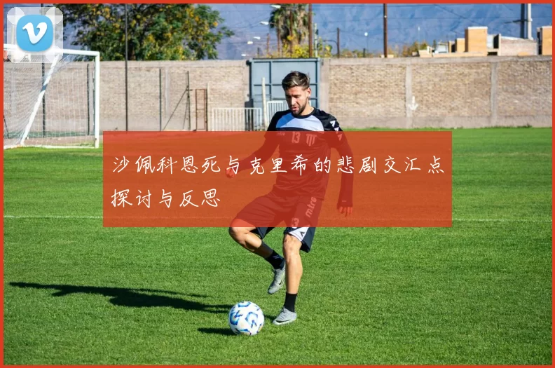 沙佩科恩死与克里希的悲剧交汇点探讨与反思