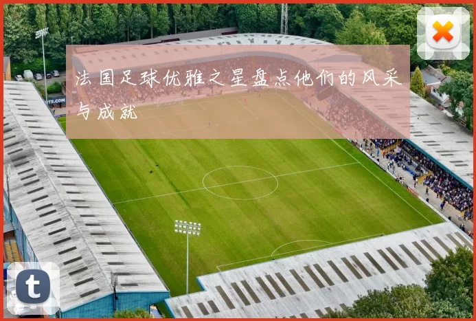 法国足球优雅之星盘点他们的风采与成就