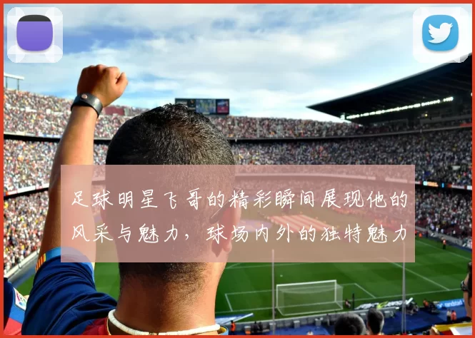 足球明星飞哥的精彩瞬间展现他的风采与魅力，球场内外的独特魅力尽在其中