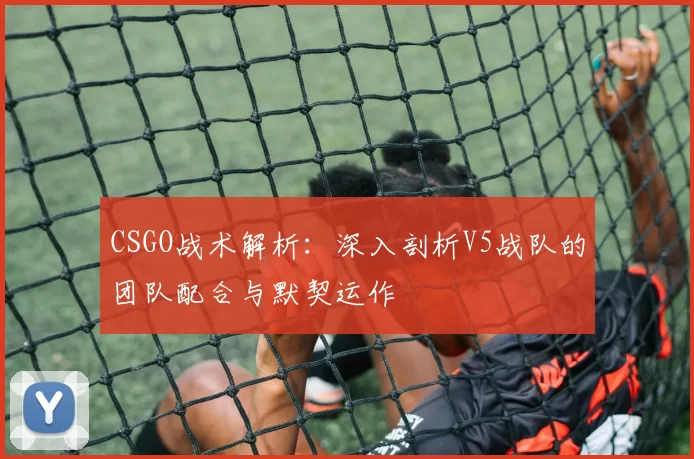CSGO战术解析：深入剖析V5战队的团队配合与默契运作