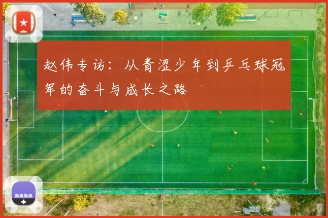 赵伟专访：从青涩少年到乒乓球冠军的奋斗与成长之路