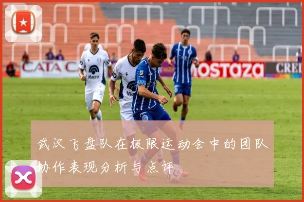 武汉飞盘队在极限运动会中的团队协作表现分析与点评