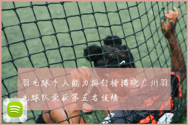 羽毛球个人能力排行榜揭晓广州羽毛球队荣获第五名佳绩