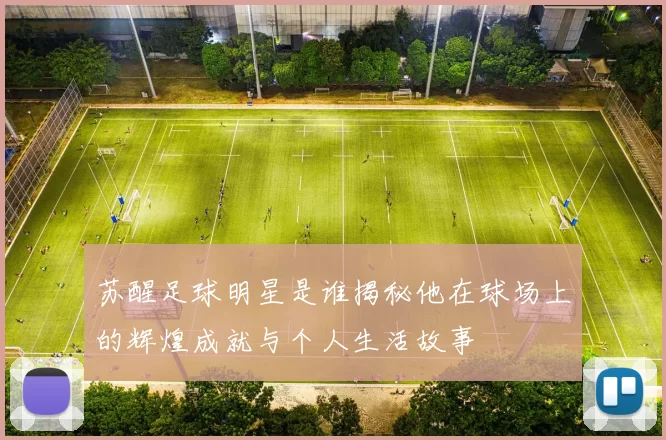苏醒足球明星是谁揭秘他在球场上的辉煌成就与个人生活故事