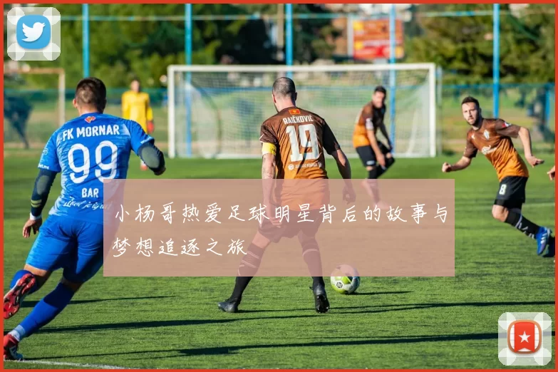 小杨哥热爱足球明星背后的故事与梦想追逐之旅