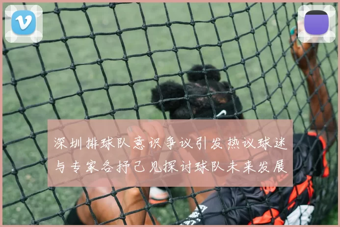 深圳排球队意识争议引发热议球迷与专家各抒己见探讨球队未来发展