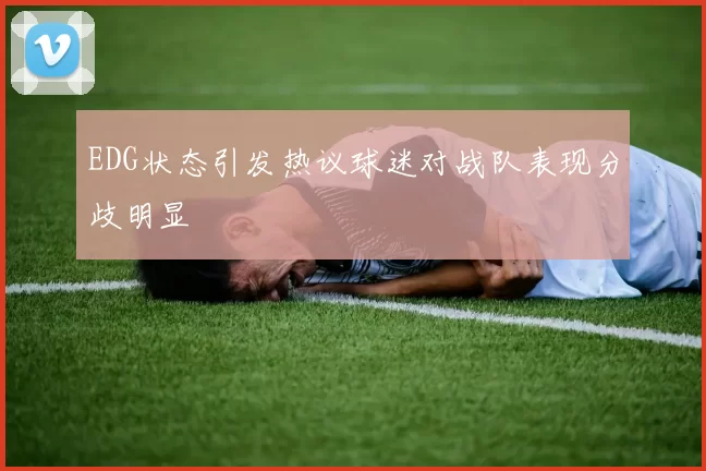 EDG状态引发热议球迷对战队表现分歧明显