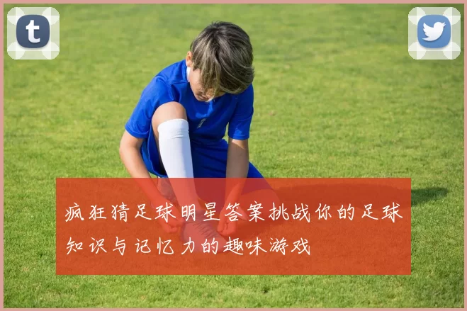 疯狂猜足球明星答案挑战你的足球知识与记忆力的趣味游戏