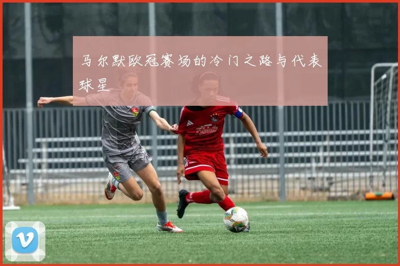 马尔默欧冠赛场的冷门之路与代表球星