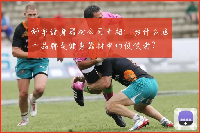 舒华健身器材公司介绍：为什么这个品牌是健身器材中的佼佼者？