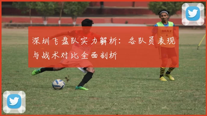 深圳飞盘队实力解析：各队员表现与战术对比全面剖析