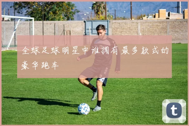 全球足球明星中谁拥有最多款式的豪华跑车