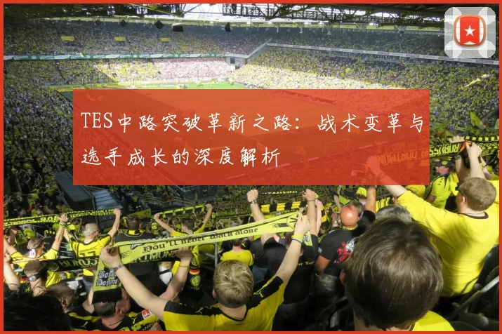 TES中路突破革新之路：战术变革与选手成长的深度解析