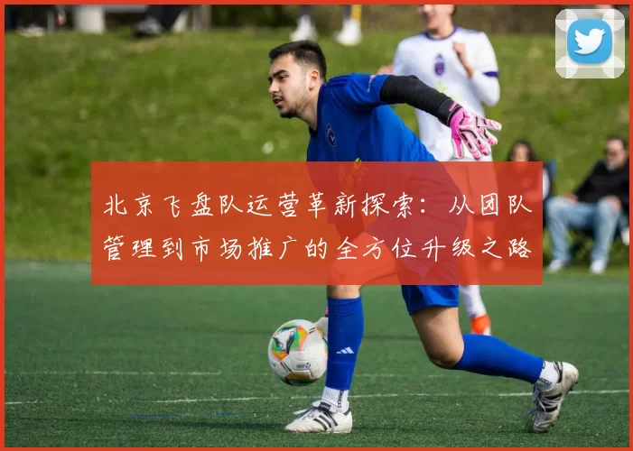 北京飞盘队运营革新探索：从团队管理到市场推广的全方位升级之路