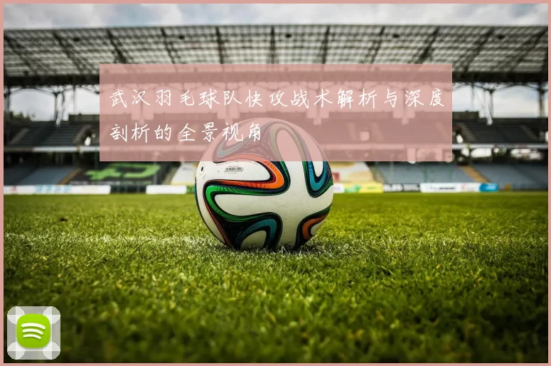 武汉羽毛球队快攻战术解析与深度剖析的全景视角