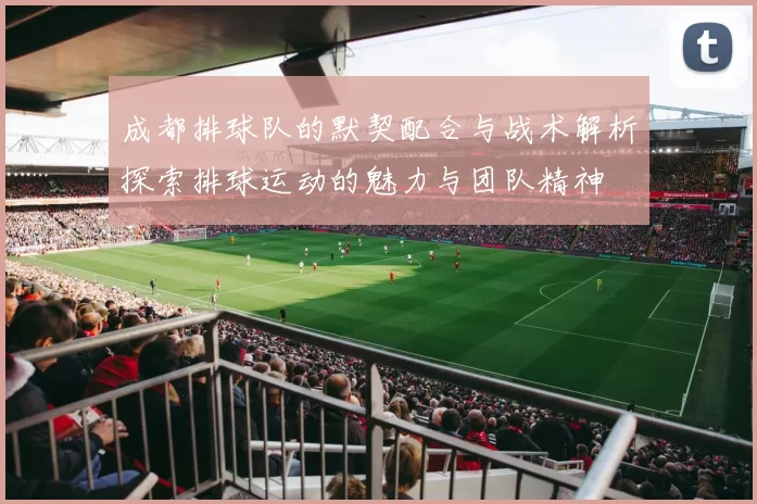 成都排球队的默契配合与战术解析探索排球运动的魅力与团队精神