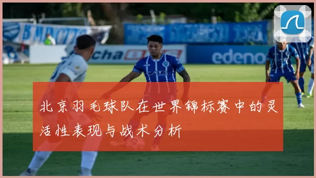 北京羽毛球队在世界锦标赛中的灵活性表现与战术分析