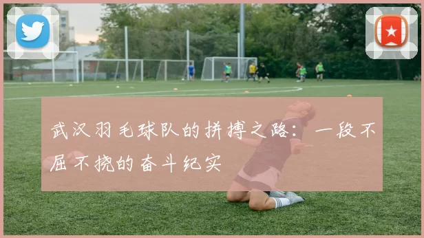 武汉羽毛球队的拼搏之路：一段不屈不挠的奋斗纪实