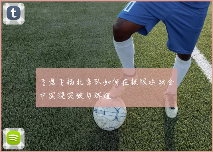 飞盘飞扬北京队如何在极限运动会中实现突破与辉煌