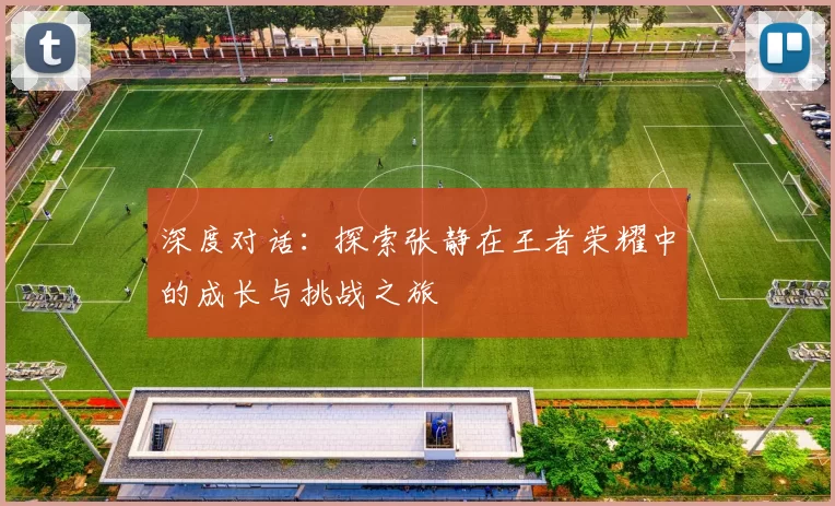 深度对话：探索张静在王者荣耀中的成长与挑战之旅