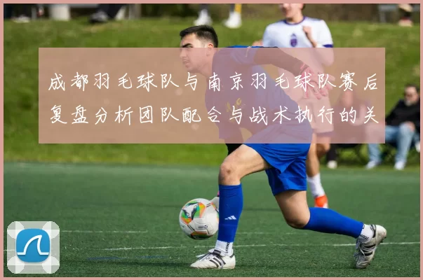 成都羽毛球队与南京羽毛球队赛后复盘分析团队配合与战术执行的关键因素