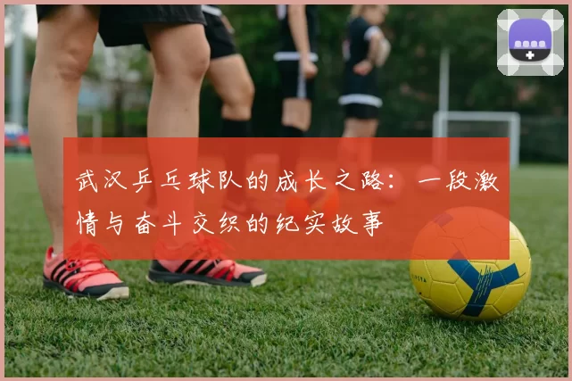 武汉乒乓球队的成长之路：一段激情与奋斗交织的纪实故事
